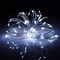 Perfect Holiday 100 LED Silver Copper Fairy Light Plug in OEM
